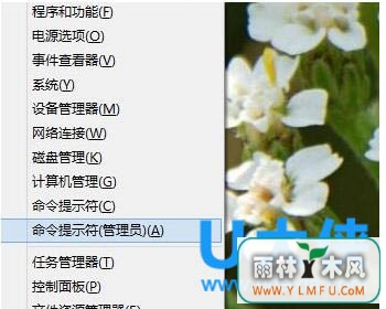 ôWin8.1ϵͳʼť޷Ӧ