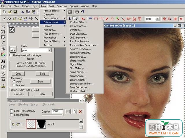 PictureMan Pro(ͼЧ)V5.02ٷ 5.02