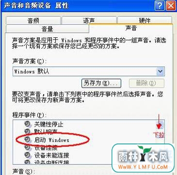 WinXP