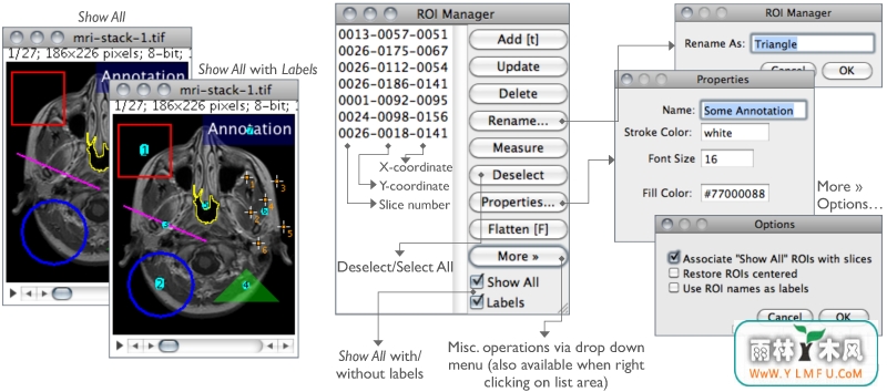 ImageJ For Mac(ѿԴͼƬ༭)V1.49uٷ