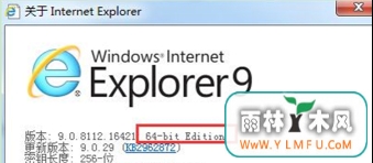 win7ϵͳie9 64λʹ