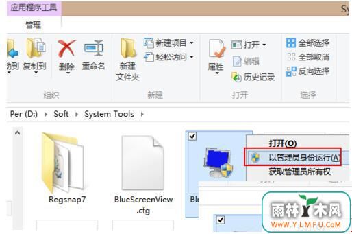 Win8BlueScreenView߷ļMemory.dmpķ