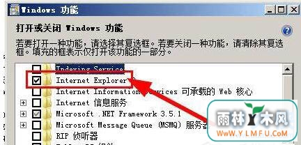 ie8