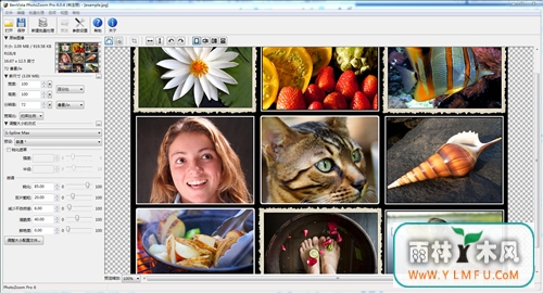 PhotoZoom Pro (ͼƬŴ)V6.1.0.0Ĺٷ