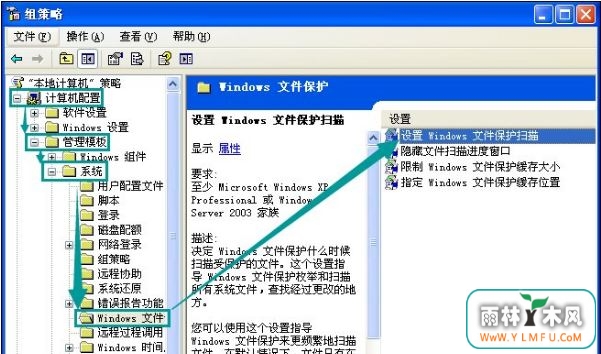 windowsļôر3