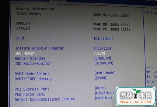 IGD Memory