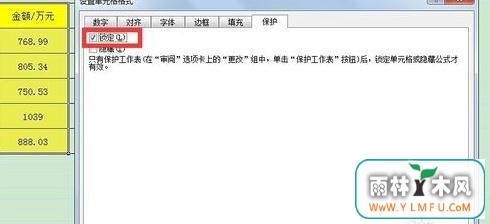 excelô̶ĳЩԪ񲻱༭