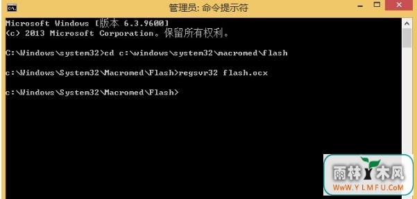 flash.ocx4