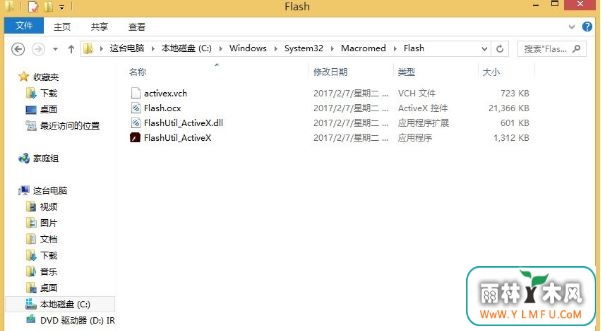 flash.ocx1