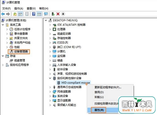 豸