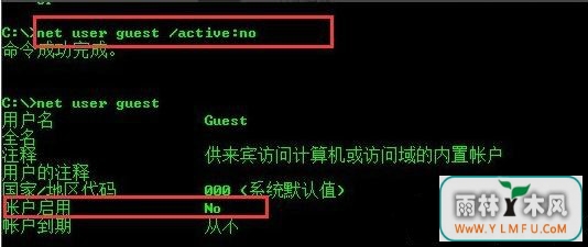 guest˻11