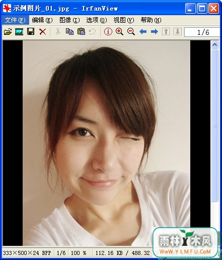 IrfanView(ٿͼ)V4.50ٷİ v1.0