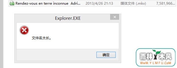 ļ̫1