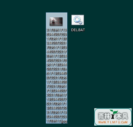ļ̫3