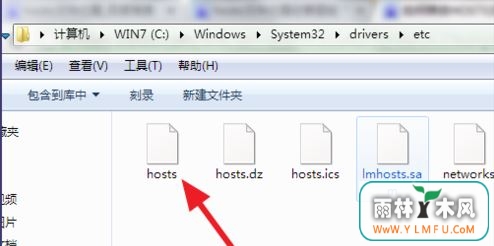 hostsļλ1