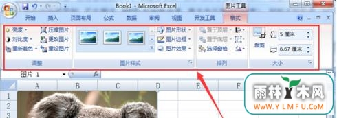 excelͼƬα