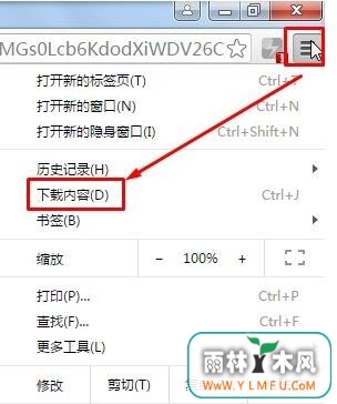win7ϵͳʹùȸļʾǶļ,ChromeѽءĽ