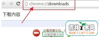 win7ϵͳʹùȸļʾ“Ƕļ,Chromeѽ”-2