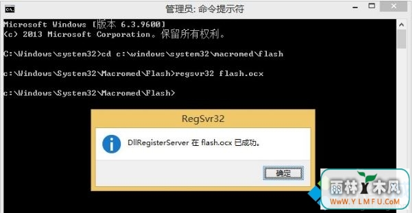 ie޷flash(4)