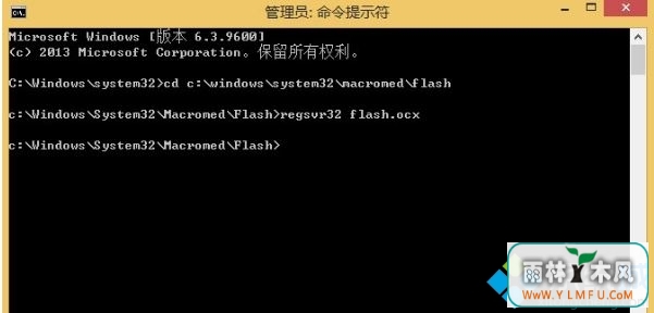 ie޷flash(3)