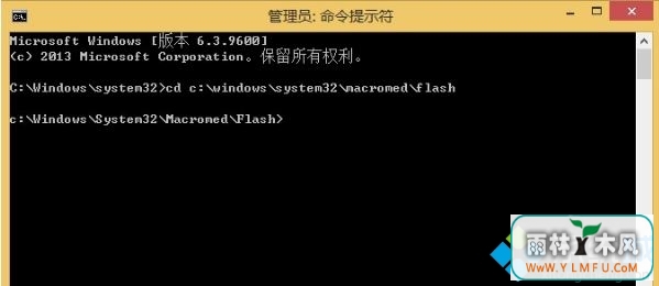 ie޷flash(2)