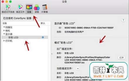 豸