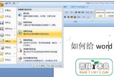 word2003