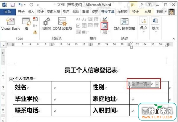 word2013ѡť