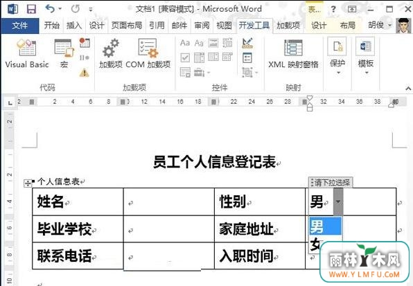 word2013ѡť