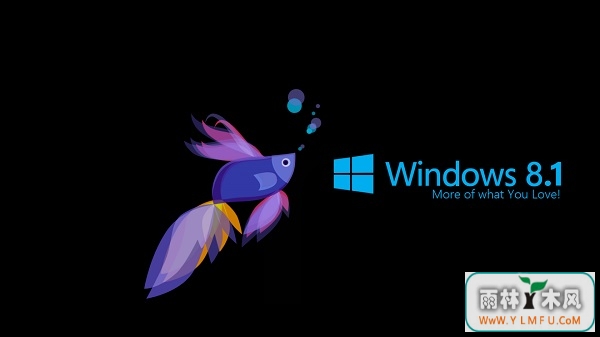 Win8.1ϵͳװŻô