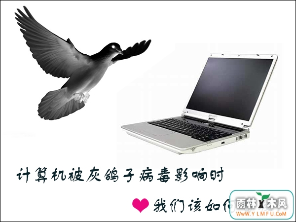 ҸӲӰʱԾ