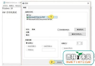 Win10ʽοٴӡPDFĵ