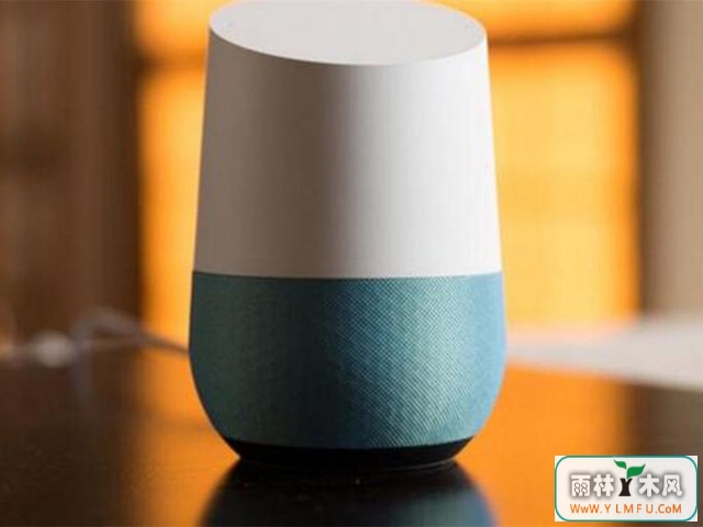 EchoGoogle Homeʵ