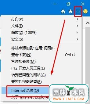 Windows10ϵͳie11޷ô죿