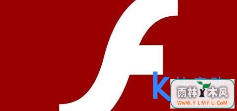 ΢Ʋ޸޲ Flash Player ©