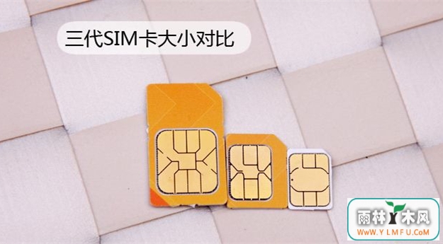 Micro SDMicro SIMԼNano SIM