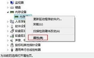 内存设备属性