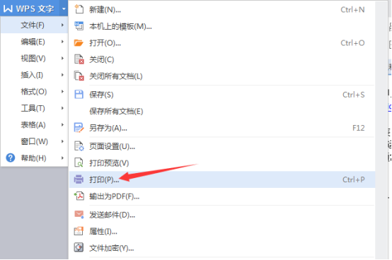 wps快速双面打印的具体操作步骤