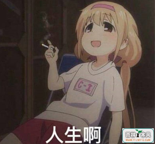 Ƽ̸ 