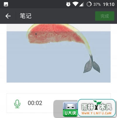 ΢