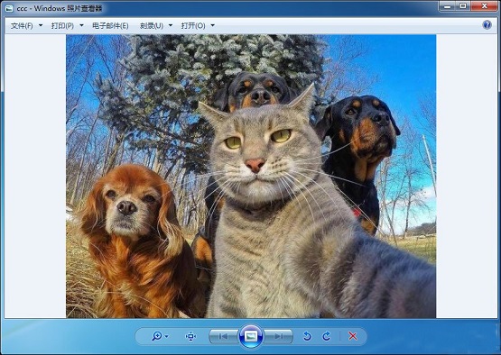 Win7ϵͳθֽ