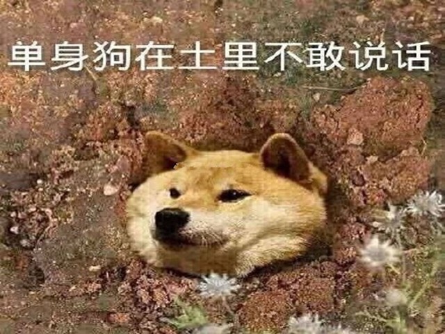 Ƽ̸ 