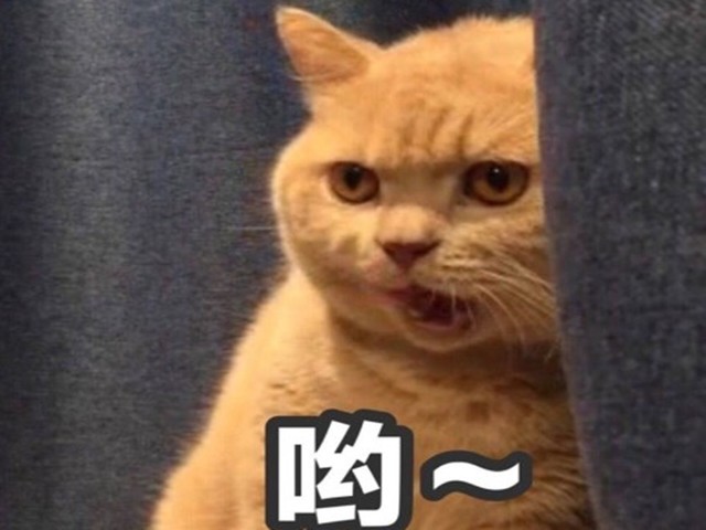 Ƽ̸ 