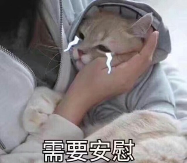 Ƽ̸٣ 