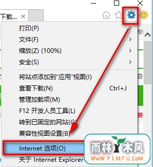 internet explorer
