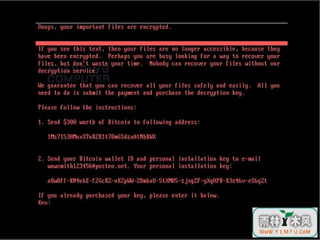 Petya2017Ŀع⣺Ǳ