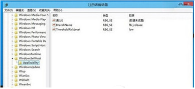 ȥ޸win10ϵͳע