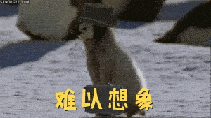Ƽ̸ 