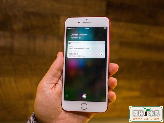 37%˲ϲ Siri