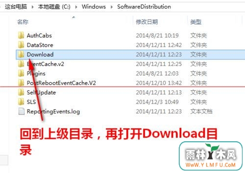 windows10